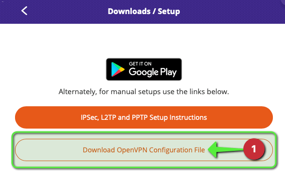 Download OpenVPN Config Button